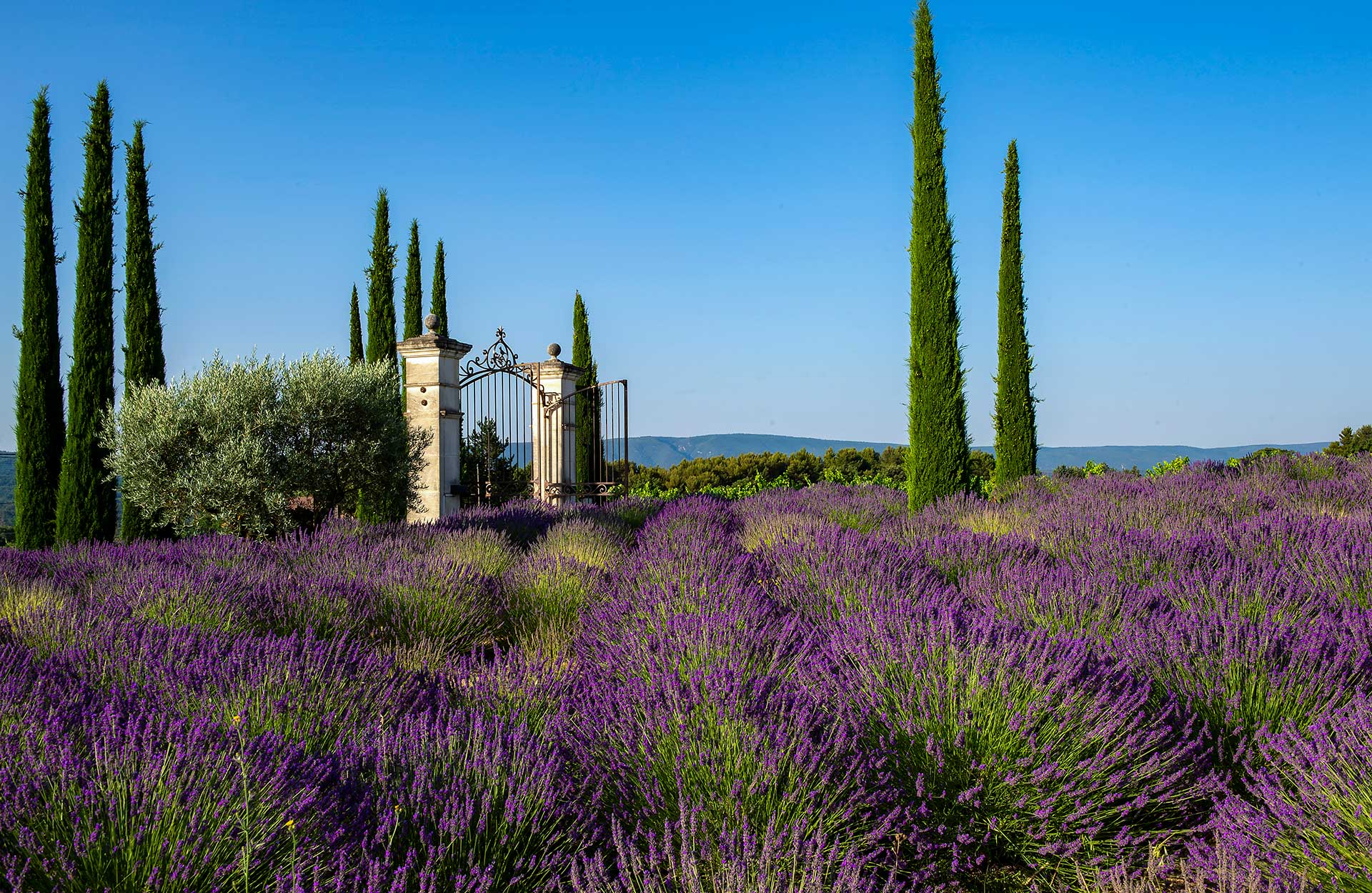 Coquillade Provence Resort & Spa