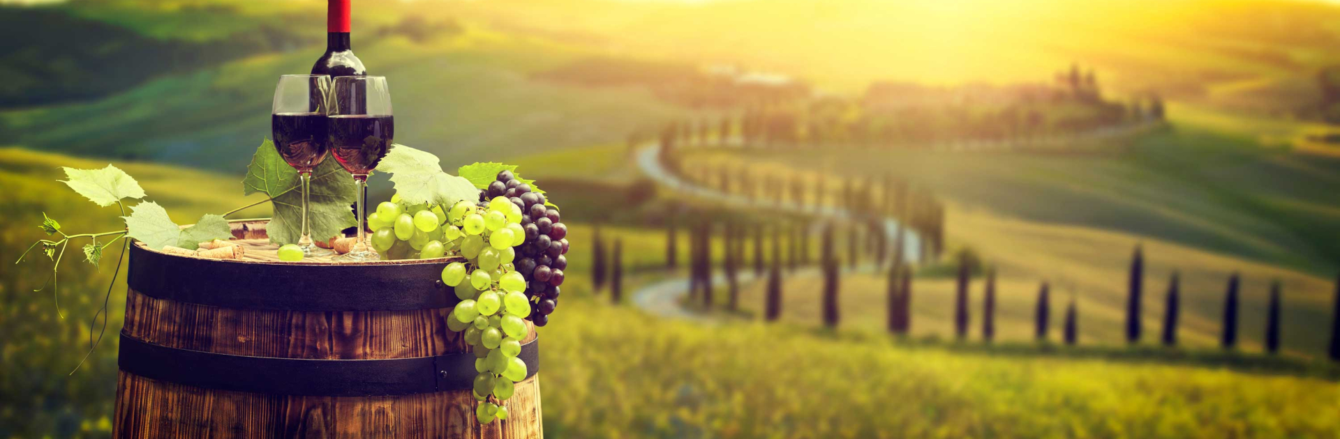 Vinsmagning i Toscana